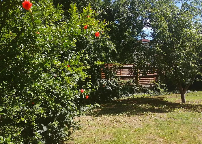 Rakos-Patak Mobile Home Garden & Free Parking