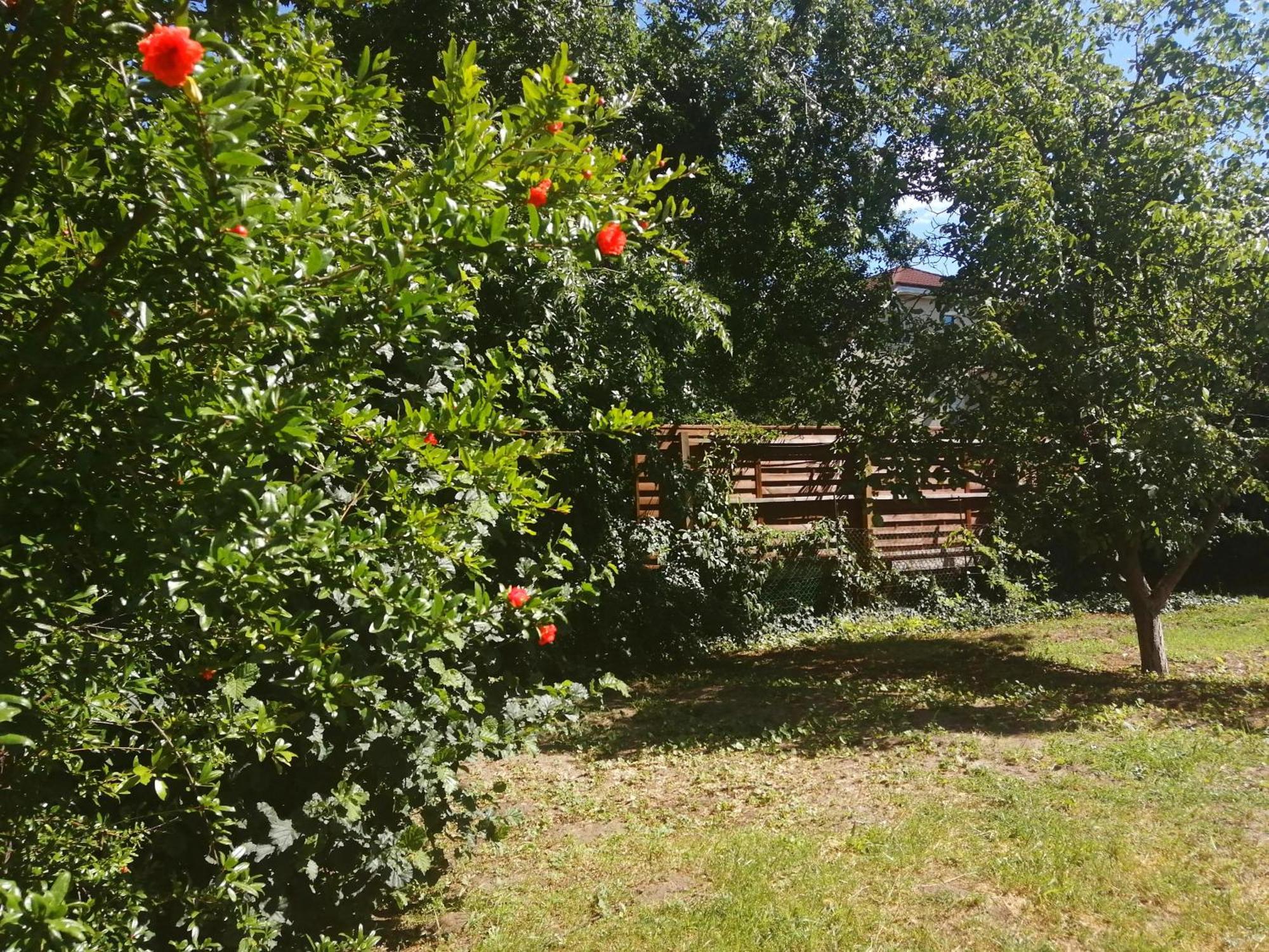 Casa vacanze Rakos-patak Mobile Garden & Free Parking *