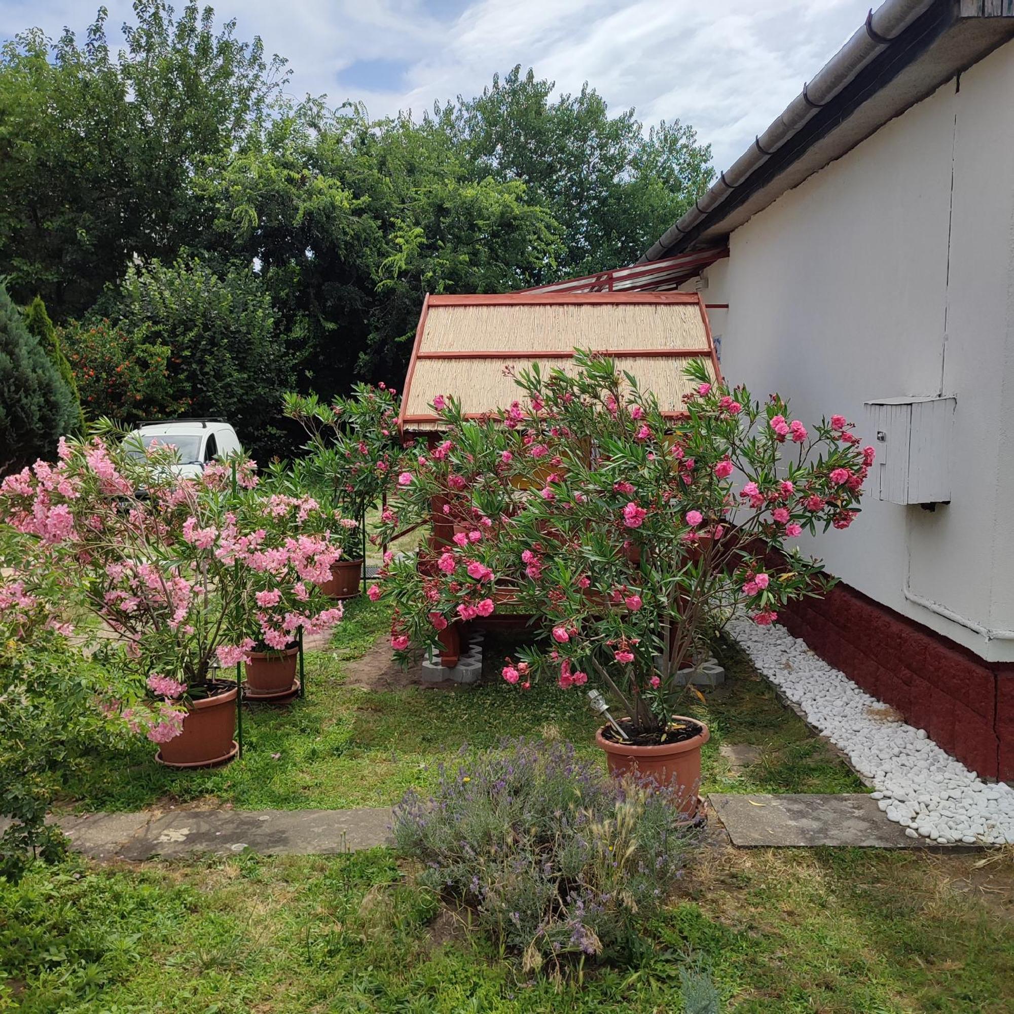 Rakos-patak Mobile Garden & Free Parking